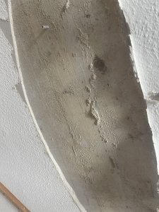 IMG_3467.jpeg