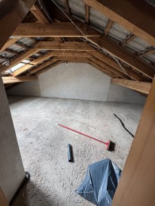 IMG_3761.jpeg