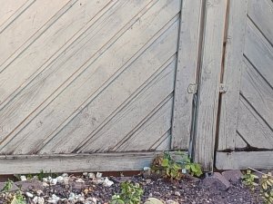 IMG_20250825_182356.jpg