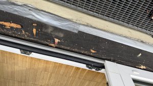 IMG_6895.jpeg