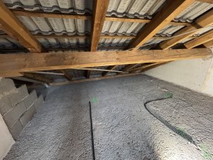 IMG_3799.jpeg