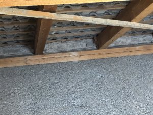 IMG_3800.jpeg