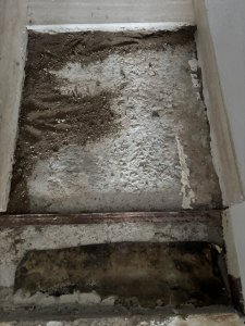 IMG_9863.jpeg