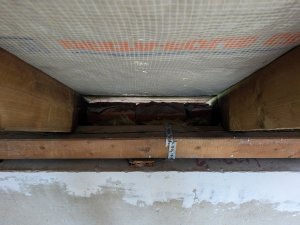 PXL_20250924_141710463.jpg