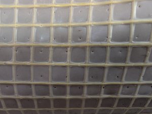 PXL_20250924_160817111.jpg