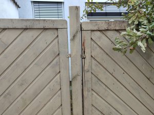 IMG_20251008_170105.jpg