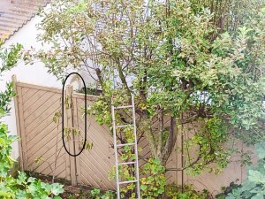 IMG_20251009_150040.jpg