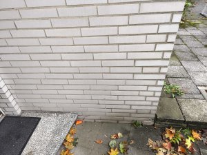 IMG_20251008_173249.jpg