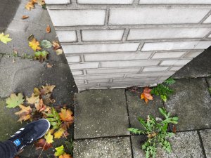 IMG_20251008_173254.jpg