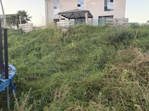 IMG_2318.jpeg