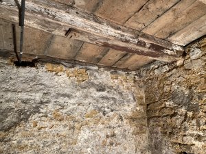 IMG_3881.jpeg