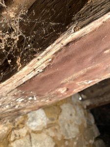 IMG_3879.jpeg