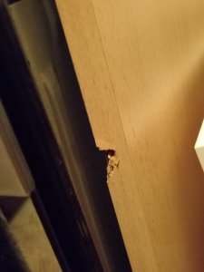 IMG_20250926_214448.jpg