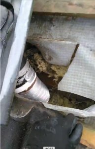 IMG_5103.jpeg