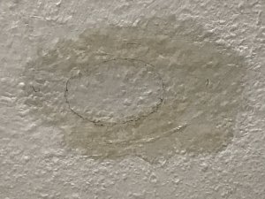 IMG_5096.jpeg