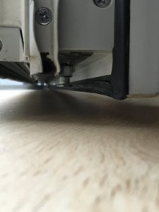IMG_5950.jpeg