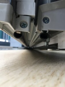 IMG_5951.jpeg