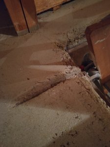 IMG_20251017_014749.jpg