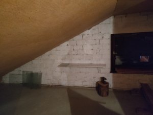 IMG_20251017_014950.jpg