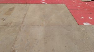 PXL_20251017_175340980.jpg