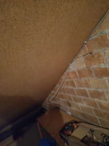 IMG_20251017_213041.jpg