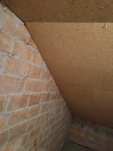 IMG_20251017_213100.jpg