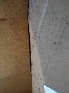 IMG_20251017_213207.jpg
