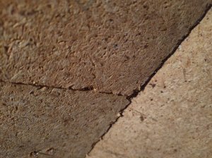 IMG_20251017_213254.jpg