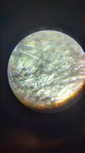 IMG-20251017-WA0037.jpeg