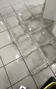 IMG_2030.jpeg