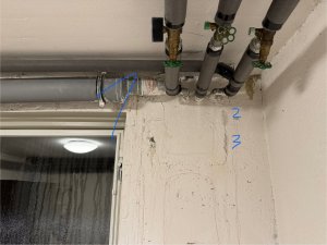 IMG_6443.jpg