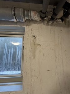 IMG_6679.jpeg