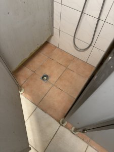 IMG_1228.jpeg