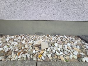 20251019_175712.jpg