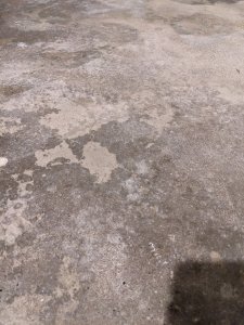 1000058720.jpg