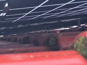 IMG_6905.jpeg