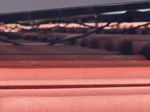 IMG_6932.jpeg