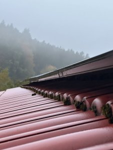 IMG_6907.jpeg