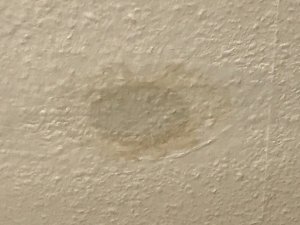 IMG_4665.jpeg