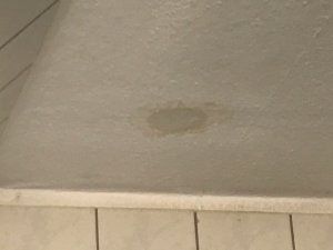 IMG_4666.jpeg