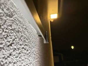 IMG_1366.jpeg