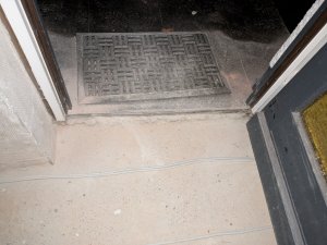 PXL_20251022_202157371.jpg