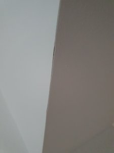 20251023_084908.jpg