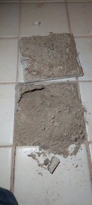 20251020_211343.jpg