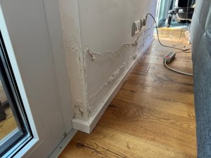 IMG_1375.jpeg
