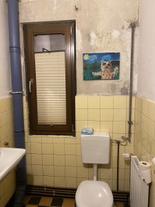 IMG_4310.jpeg