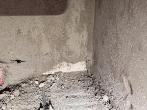 IMG_5381.jpeg