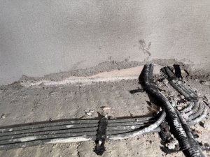 IMG_5357.jpeg