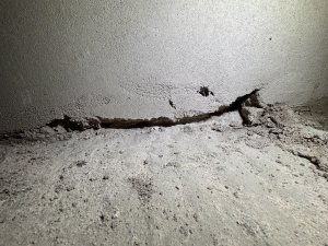 IMG_5349.jpeg