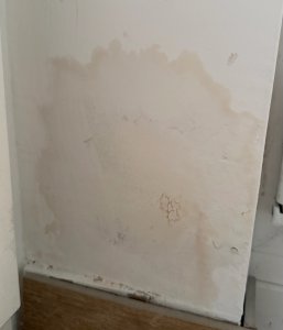 IMG_20251019_083136_1.HEIC_compressed.JPEG